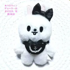 skzoo10cmぬい服リボン+スタイセット