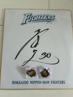 北海道日本ハムファイターズ 直筆サイン色紙 北海道日本ハムファイターズ 直筆サイン色紙 2枚セット - メルカリ
