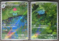 ポケモンカード151　フシギソウAR　フシギダネAR　進化ライン　sv2a