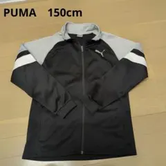 PUMA フルジップジャケット 150cm