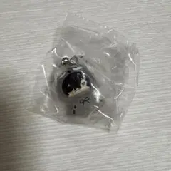 ヒロアカ めじるしアクセサリー 相澤消太