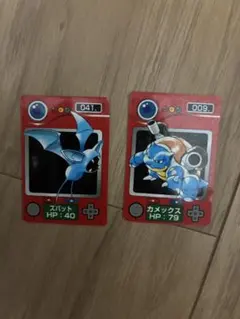 ポケモン図鑑 ミニカード 2枚セット
