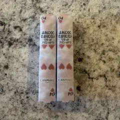 CANMAKE キャンメイク　アイカラーマジシャン 04 淡い予感　2本