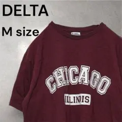 CHICAGO ILLINOIS アーチロゴプリント US 古着 M Tシャツ
