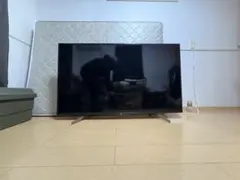 【値下げ!】SONY BRAVIA65インチ液晶テレビ　【ジャンク】 ソニー ブラビア 65インチ 有機ELテレビ 液晶割れ ジャンク品 SONY