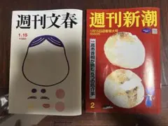 Item thumbnail for item 3d1a5152-da7e-4080-85a9-350b0291c853