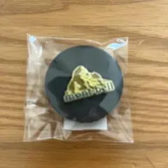 ピンバッジ キャラクターグッズ