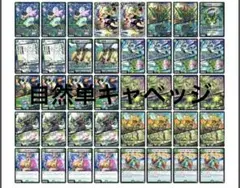 2025年最新】キャベッジセッションズ デッキの人気アイテム