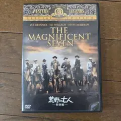 最終値下げ　荒野の七人　DVD 特別版