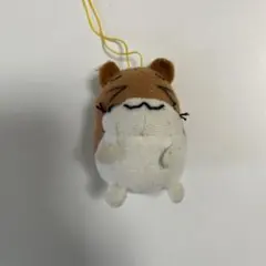 2026年最新】ハムスター倶楽部 ぬいぐるみの人気アイテム - メルカリ