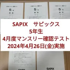 サピックス 新5年 3月度入室・組分けテスト2024年 原本 - メルカリ