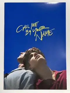 2026年最新】君の名前で僕を呼んで パンフレットの人気アイテム - メルカリ