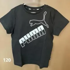 PUMA Tシャツ 120