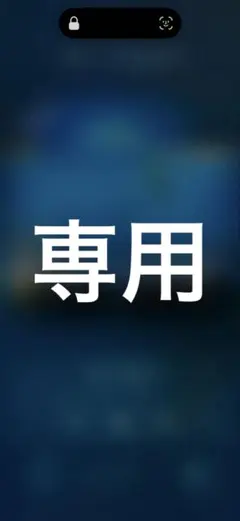 専用