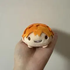ハイキュー!! 日向 のるキャラ 日向翔陽 ぬいぐるみ マスコット