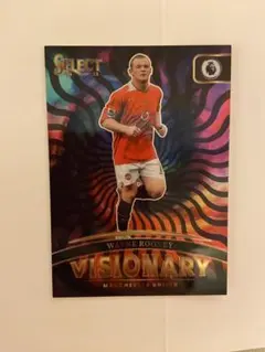 ルーニー　visionary