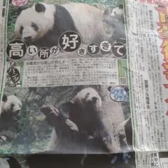 Item thumbnail for item 6b597adc-895e-4e63-8d38-e1de8f9ed70d