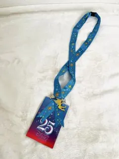 東京ディズニーリゾート 25周年記念 パスケース