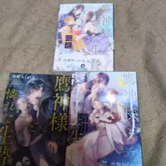 BL3冊セット　バラ売り不可