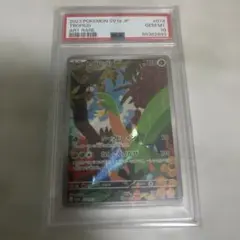 トロピウス AR SV1a トリプレットビート 074/073 PSA10のサムネイル
