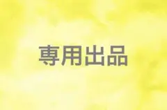 専用出品