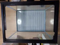 2026年最新】60cm水槽オールガラスの人気アイテム - メルカリ