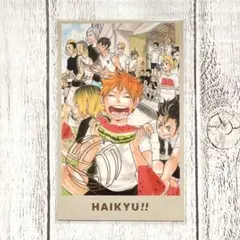 ハイキュー　メモリアルコレクション　烏野　日向