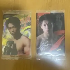 RIZINウエハース ヒロヤ 2枚セット