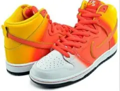 ナイキ スケートボーディング ダンク ハイ プロ　NIKE ハイカットスニーカー