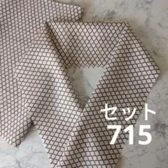 Item thumbnail for item d7680d20-802d-4179-88c6-a77df1965fc8