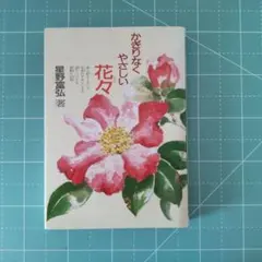 授業者の風景 : 椿の色はつばき色 授業者の風景 : 椿の色はつばき色 - メルカリ
