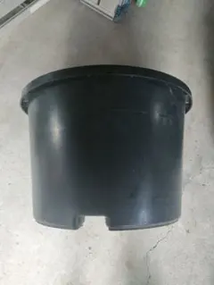 黒のプラスチック植木鉢
