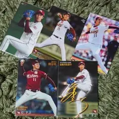 プロ野球チップス 岸孝之投手 東北楽天ゴールデンイーグルス