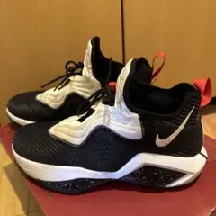 2025年最新】nike レブロン 29の人気アイテム - メルカリ