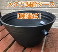 メダカ飼育ケース　睡蓮鉢タイプ【大】のサムネイル