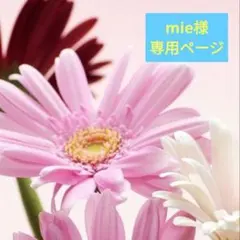 ★mie様専用ページ★