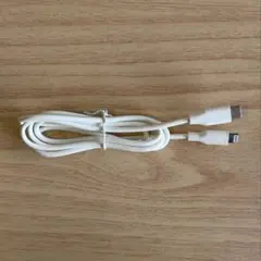 iPhone 充電コード/Type C to Lightning