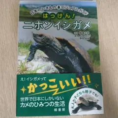 日本のいきものビジュアルガイド はっけん! ニホンイシガメ