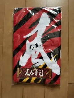 Item thumbnail for item 12af64ae-285e-4f41-b694-00d1ddc5b8e9