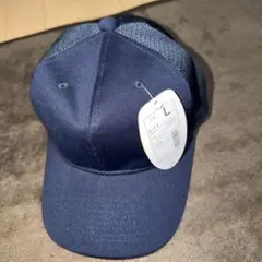 Item thumbnail for item 6f012aa0-51db-4cdf-b630-7faeae7e8182