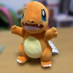 ポケットモンスター ヒトカゲ ぬいぐるみ いろんなおがおのサムネイル