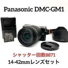 難有品: パナソニック GM1Sブラウン　外観特上　修理ベース、部品取りに 難有品: パナソニック GM1Sブラウン 外観特上 修理ベース、部品取りに