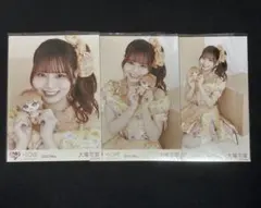 イコラブ 大場花菜 ぬいぐるみマスコット 生写真 コンプ