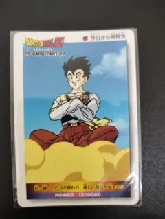 ドラゴンボール 悟飯 カード No.502