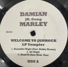 2026年最新】damian marley welcome to jamrockの人気アイテム - メルカリ
