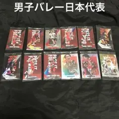 【男子バレーボール】日本代表ツインウエハースカードSP含む12種12枚ダブりなし