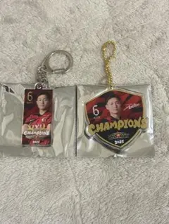 2026年最新】鹿島アントラーズ の人気アイテム - メルカリ