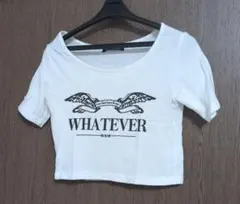 SPRAY PREMIUM クロップドTシャツ Fサイズ