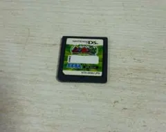 DS カセット　甲虫王者ムシキング　グレイテストチャンピオンへの道　動作確認済み