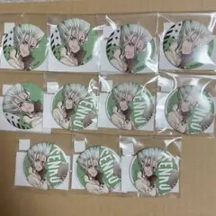 2026年最新】石神千空の人気アイテム - メルカリ